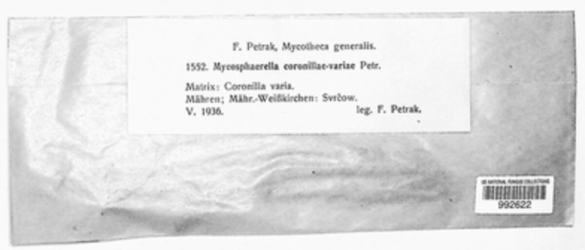 Mycosphaerella coronillae-variae image